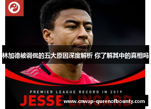 林加德被调侃的五大原因深度解析 你了解其中的真相吗