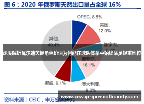深度解析瓦尔迪关键角色价值为何能在球队体系中始终举足轻重地位