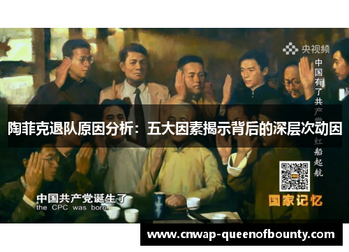 陶菲克退队原因分析：五大因素揭示背后的深层次动因