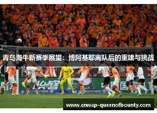 青岛海牛新赛季展望:博阿基耶离队后的重建与挑战 青岛海牛新赛季展望:博阿基耶离队后的重建与挑战