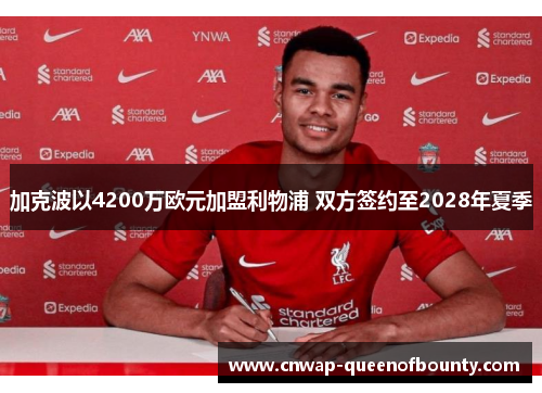 加克波以4200万欧元加盟利物浦 双方签约至2028年夏季 加克波以4200万欧元加盟利物浦 双方签约至2028年夏季