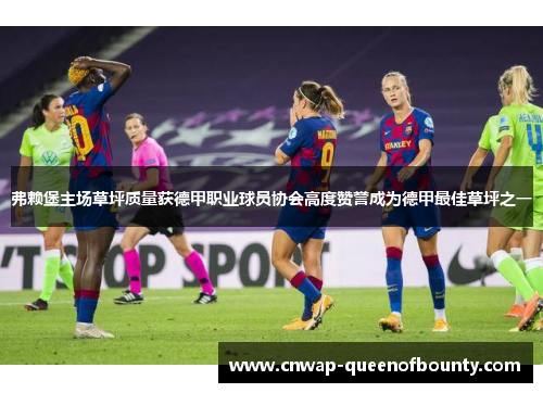 弗赖堡主场草坪质量获德甲职业球员协会高度赞誉成为德甲最佳草坪之一