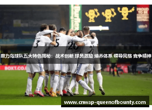 魔力鸟球队五大特色揭秘：战术创新 球员激励 培养体系 领导风格 竞争精神