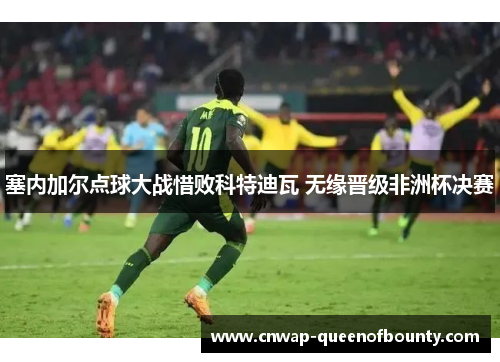塞内加尔点球大战惜败科特迪瓦 无缘晋级非洲杯决赛